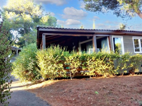 Bungalow paisible à Agde avec piscine partagée